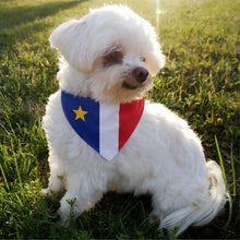Charger l'image dans la galerie, T60/61/62 - Foulard pour chien