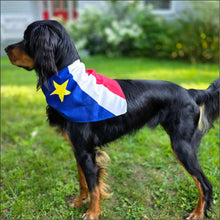Charger l'image dans la galerie, T60/61/62 - Foulard pour chien